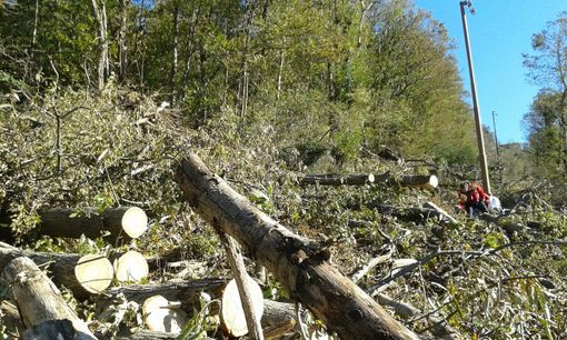 Foto dalla pagina Facebook di Legambiente Laveno Luino Foto dalla pagina Facebook di Legambiente Laveno Luino