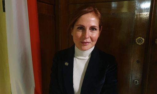 Revisione del piano territoriale di coordinamento provinciale