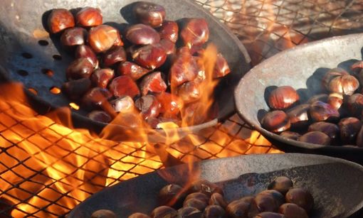Castagne, arte e musica: arriva la Festa d’Autunno di Induno Olona Castagne, arte e musica: arriva la Festa d’Autunno di Induno Olona