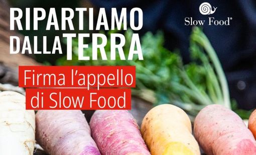 L'appello di Slow Food che tutti possiamo firmare: "Ripartiamo dalla terra" per salvare agricoltura e ristorazione