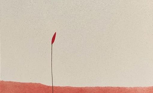 Dettaglio della copertina de "La linfa del pericolo", ultimo libro di Katia Catalano