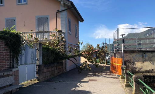 L'albero che sta momentaneamente occupando la passerella sul lungolago (foto Comune di Porto Ceresio) L'albero che sta momentaneamente occupando la passerella sul lungolago (foto Comune di Porto Ceresio)