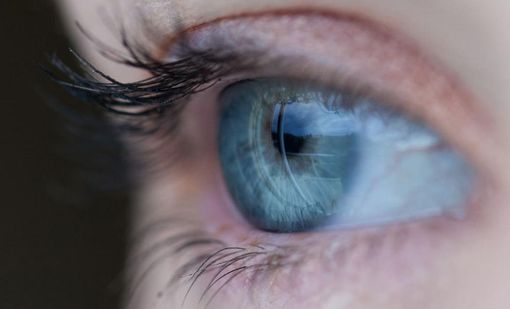 Malattie della retina, la campagna nazionale fa tappa a Varese: controlli gratuiti in piazza Repubblica Malattie della retina, la campagna nazionale fa tappa a Varese: controlli gratuiti in piazza Repubblica