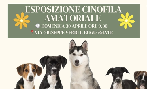Buguggiate ospita la prima edizione del Dog Academy Italia Festival