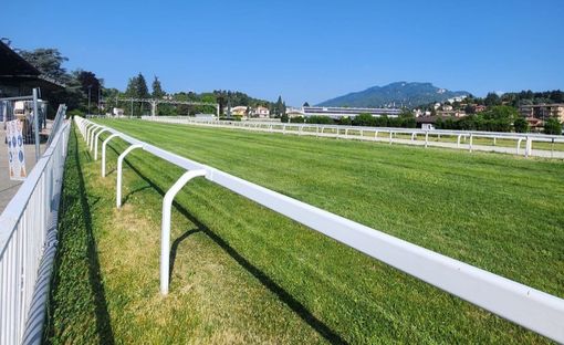 Domenica all'ippodromo il 75° Gran Premio Città di Varese Domenica all'ippodromo il 75° Gran Premio Città di Varese