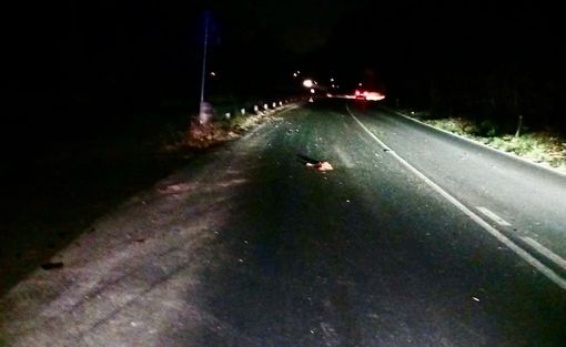 (foto tratta da Luinonotizie.it) (foto tratta da Luinonotizie.it)