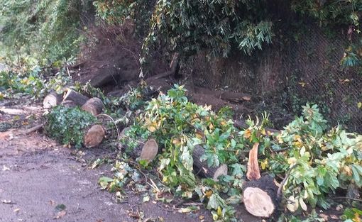 La foto della frana tratta da Luinonotizie.it