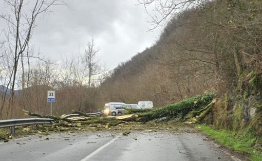 (foto di Sara Ragusi Mike Maggio dal gruppo Facebook “LUINO” - da LuinoNotizie.it) (foto di Sara Ragusi Mike Maggio dal gruppo Facebook “LUINO” - da LuinoNotizie.it)