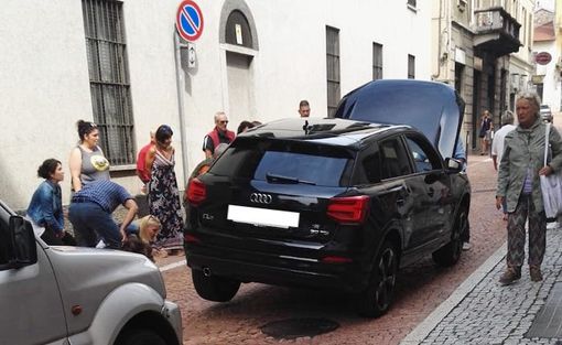 Le operazioni di salvataggio del gatto nella foto pubblicata da LuinoNotizie Le operazioni di salvataggio del gatto nella foto pubblicata da LuinoNotizie