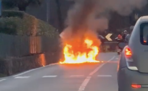 (foto tratta da Luinonotizie.it) (foto tratta da Luinonotizie.it)