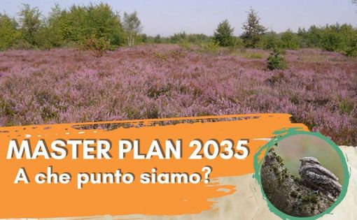 Il 7 marzo a Gallarate una serata per conoscere il Masterplan 2035 di Malpensa