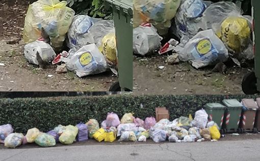 VIDEO. Rifiuti, i topi ballano in via Lamarmora VIDEO. Rifiuti, i topi ballano in via Lamarmora