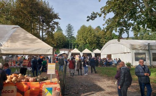 La Festa della Zucca sul lungolago di Gavirate La Festa della Zucca sul lungolago di Gavirate