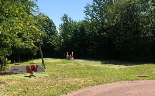 Casciago, parco Pinetina più forte dei vandali. Al via i lavori di riqualificazione Casciago, parco Pinetina più forte dei vandali. Al via i lavori di riqualificazione