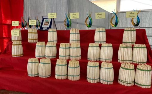 Ottantatreesima Fiera dell'Asparago in programma per gli ultimi due weekend di maggio