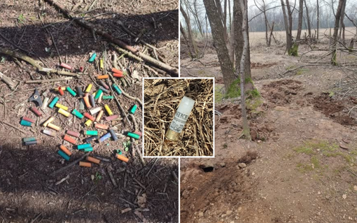 Tanti conigli nel Parco Alto Milanese, c'è chi gli spara Tanti conigli nel Parco Alto Milanese, c'è chi gli spara
