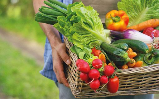 Emanuele Monti (Lega) visita azienda agricola: «Presenze fondamentali durante i mesi più bui della pandemia»