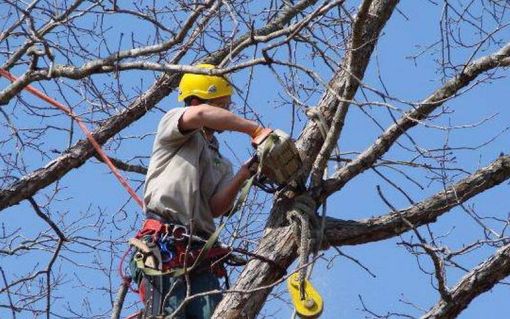 (foto generica di repertorio)