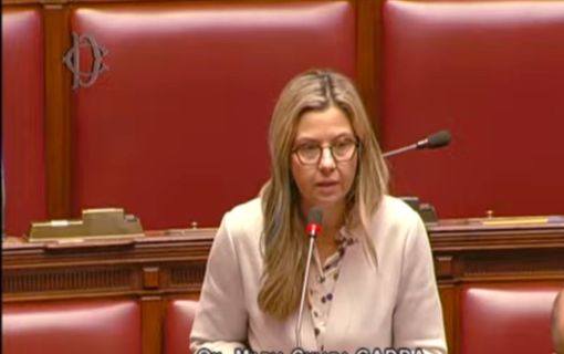 Gadda: «La legge di Bilancio del governo Meloni ha azzerato il fondo sulla povertà educativa» Gadda: «La legge di Bilancio del governo Meloni ha azzerato il fondo sulla povertà educativa»