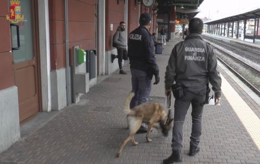 Scuole e stazioni, controlli anti droga della polizia: in campo anche le unità cinofile