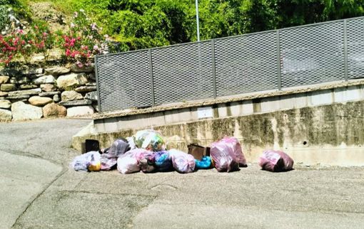 I rifiuti abbandonati per strada a Induno Olona I rifiuti abbandonati per strada a Induno Olona