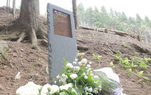 Mottarone, la vedanese Teresa Pelagi: «Dallo Stato neppure le condoglianze. E' peggio del Ponte Morandi»