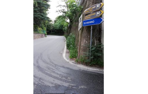 Esposito (Forza Italia): «In centro si comprano fiori per i balconi, in periferia crescono gratis a bordo strada» Esposito (Forza Italia): «In centro si comprano fiori per i balconi, in periferia crescono gratis a bordo strada»