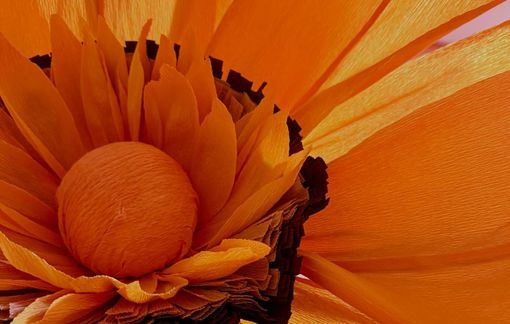 Gavirate sboccia con "Una Città in Fiore": un gesto di cura, consapevolezza e comunità