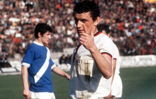 (foto Redazione/Adnkronos) (foto Redazione/Adnkronos)