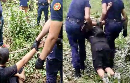 VIDEO. Al via il taglio del boschetto, ma alcuni attivisti riescono a entrare VIDEO. Al via il taglio del boschetto, ma alcuni attivisti riescono a entrare