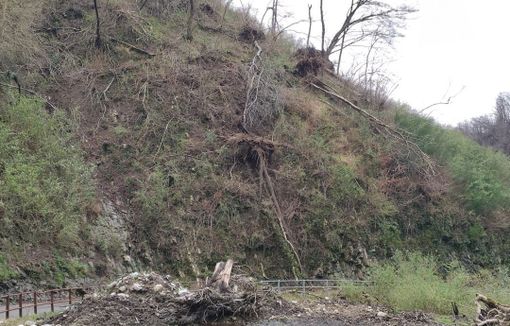 Foto dalla pagina Facebook Polis