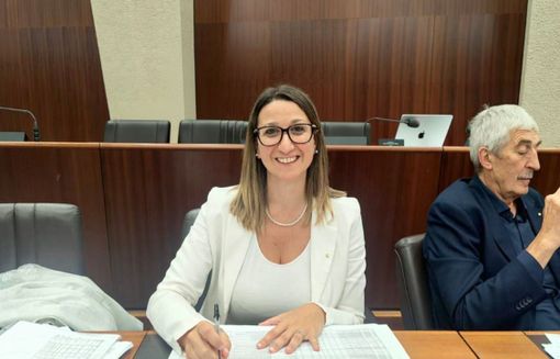 Cascate di Cittiglio e istituto Dante Alighieri di Cuveglio. Doppio impegno di Romana Dell’Erba Cascate di Cittiglio e istituto Dante Alighieri di Cuveglio. Doppio impegno di Romana Dell’Erba