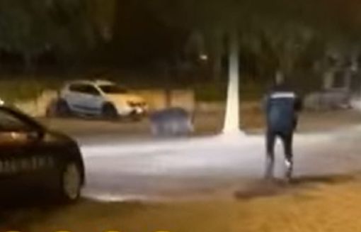 Cinghiale nel parcheggio dell'Esselunga di Masnago Cinghiale nel parcheggio dell'Esselunga di Masnago