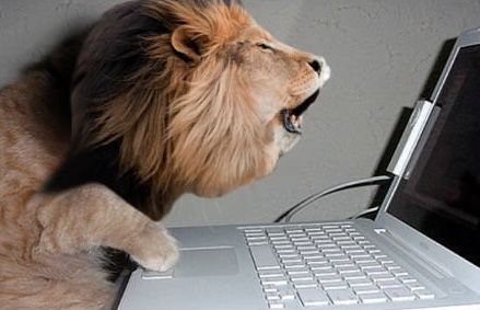 L’OPINIONE. Faccine ebeti, giudizi feroci e leoni da tastiera: il mondo all’incontrario dei commentatori social