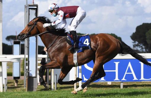 Cima Emergency trionfa al Premio Parioli, corsa monumento per i cavalli di 3 anni sui 1600 metri: Varese continua a scrivere la storia dell'ippica Cima Emergency trionfa al Premio Parioli, corsa monumento per i cavalli di 3 anni sui 1600 metri: Varese continua a scrivere la storia dell'ippica