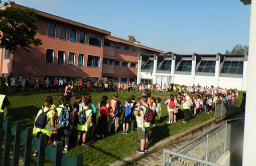 Strade e boschi ripuliti da 450 studenti: sconfitti ancora una volta gli incivili Strade e boschi ripuliti da 450 studenti: sconfitti ancora una volta gli incivili