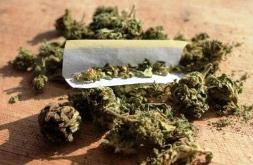 Hashish per due milioni di euro nel camion: arrestato corriere a Fagnano Olona Hashish per due milioni di euro nel camion: arrestato corriere a Fagnano Olona