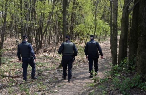 Blitz dei carabinieri a Mondonico, in manette un piccolo boss dello spaccio nei boschi della Valganna