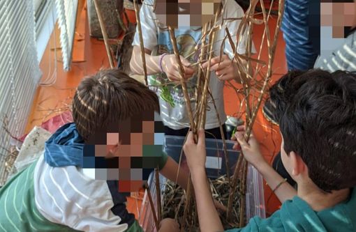 Gli alunni della scuola di Luvinate creano nidi per gufi e storni e vincono il progetto Lipu