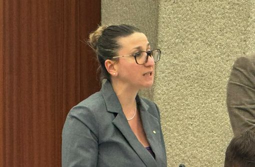 Sicurezza, Dell'Erba: «Lo Stato stia dalla parte dei cittadini onesti e di chi garantisce l’ordine»