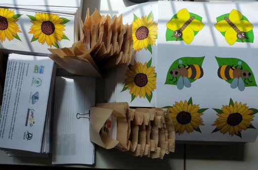 Tutelare api e farfalle, i kit didattici del Parco Pineta nelle scuole del territorio