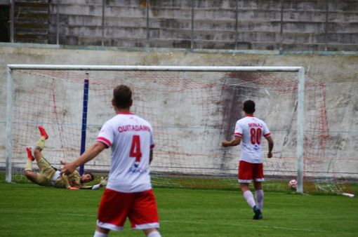 Varese-Borgosesia domenica al Franco Ossola vale una grossa fetta di salvezza Varese-Borgosesia domenica al Franco Ossola vale una grossa fetta di salvezza