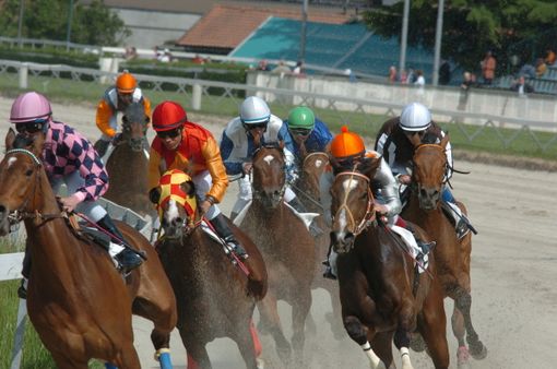 IPPICA. Terzo mercoledì di corse autunnali alle Bettole: Natalino Urracci lancia il suo settebello