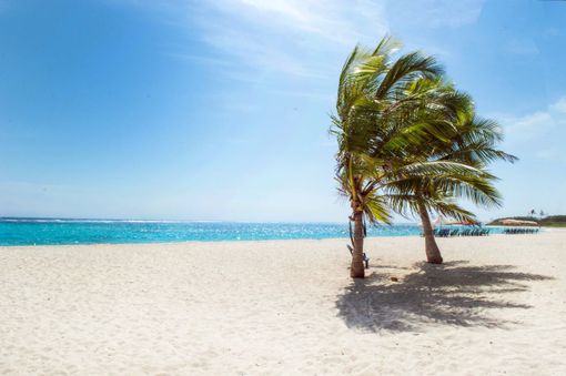 Estate 2024: dove andranno in vacanza gli italiani? Estate 2024: dove andranno in vacanza gli italiani?