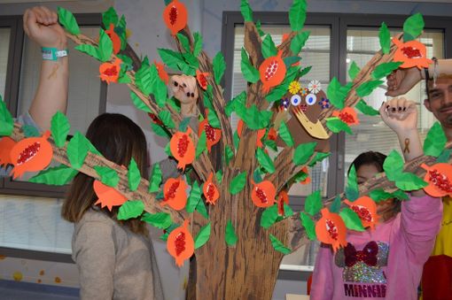 FOTO. I melograni fioriscono nelle Pediatrie degli ospedali della provincia