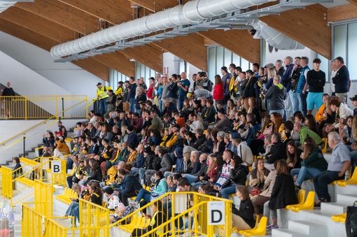 Prima partita davanti al pubblico giallonero ieri sera all'Acinque Ice Arena (Foto Alessandro Umberto Galbiati) Prima partita davanti al pubblico giallonero ieri sera all'Acinque Ice Arena (Foto Alessandro Umberto Galbiati)