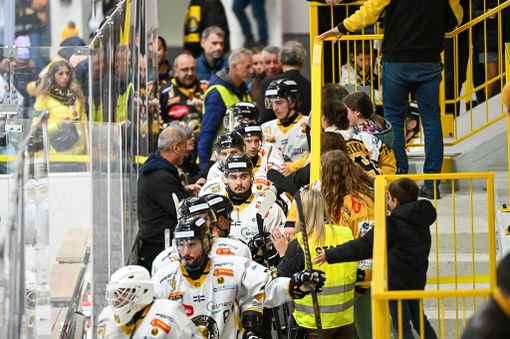 Il poster ufficiale dei Mastini che stasera sarà disponibile all'Acinque Ice Arena Il poster ufficiale dei Mastini che stasera sarà disponibile all'Acinque Ice Arena