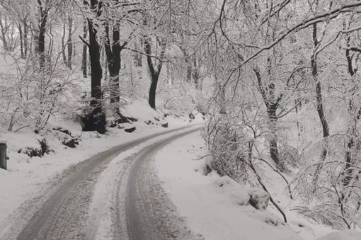 In giornata è attesa la prima neve al Campo dei Fiori