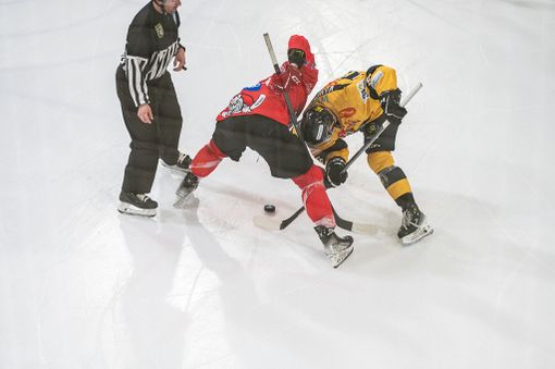 Mastini, inizio in salita ma ci siamo abituati. Non basta un tempo contro il Pergine (1-5) Mastini, inizio in salita ma ci siamo abituati. Non basta un tempo contro il Pergine (1-5)