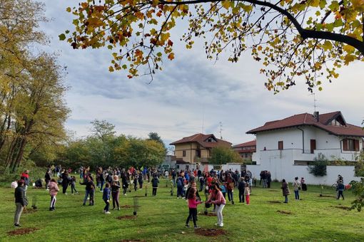 Il parco del Folletto di Olgiate rinasce grazie ai bambini “giardinieri”